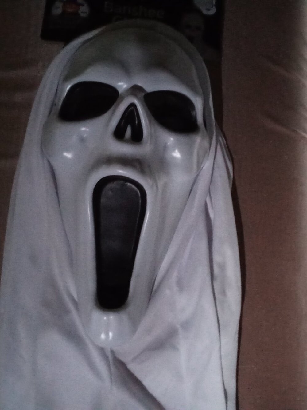 Halloween Mask Banshee Adult